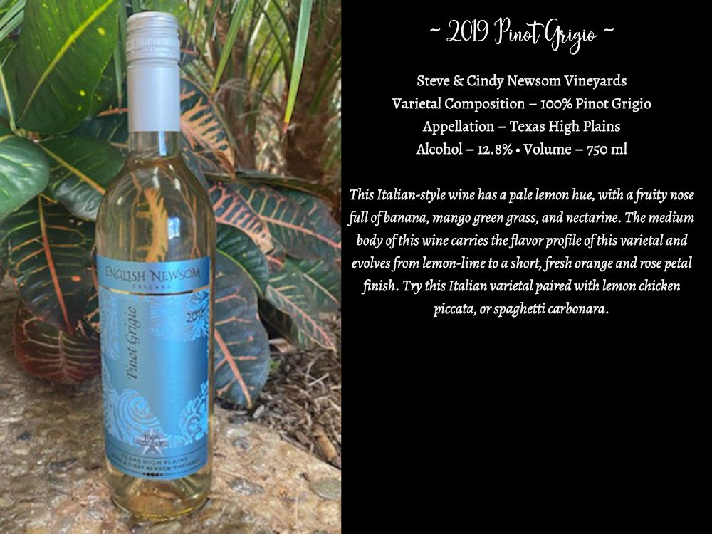 2019 Pinot Grigio bottle and info