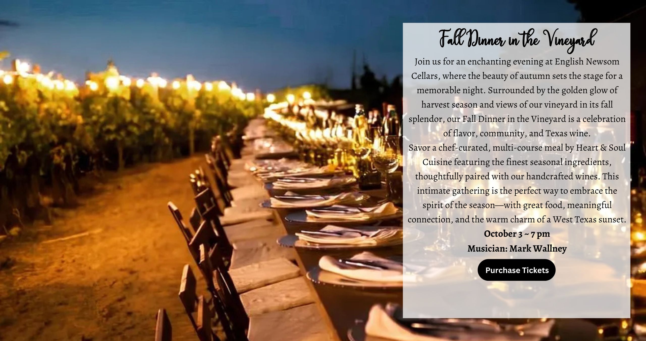 Join us for an enchanting evening at English Newsom Cellars, where the beauty of autumn sets the stage for a memorable night. Surrounded by the golden glow of harvest season and views of our vineyard in its fall splendor, our Fall Dinner in the Vineyard is a celebration of flavor, community, and Texas wine. Savor a chef-curated, multi-course meal by Heart & Soul Cuisine featuring the finest seasonal ingredients, thoughtfully paired with our handcrafted wines. This intimate gathering is the perfect way to embrace the spirit of the season—with great food, meaningful connection, and the warm charm of a West Texas sunset. October 3 ~ 7 pm Musician: Mark Wallney