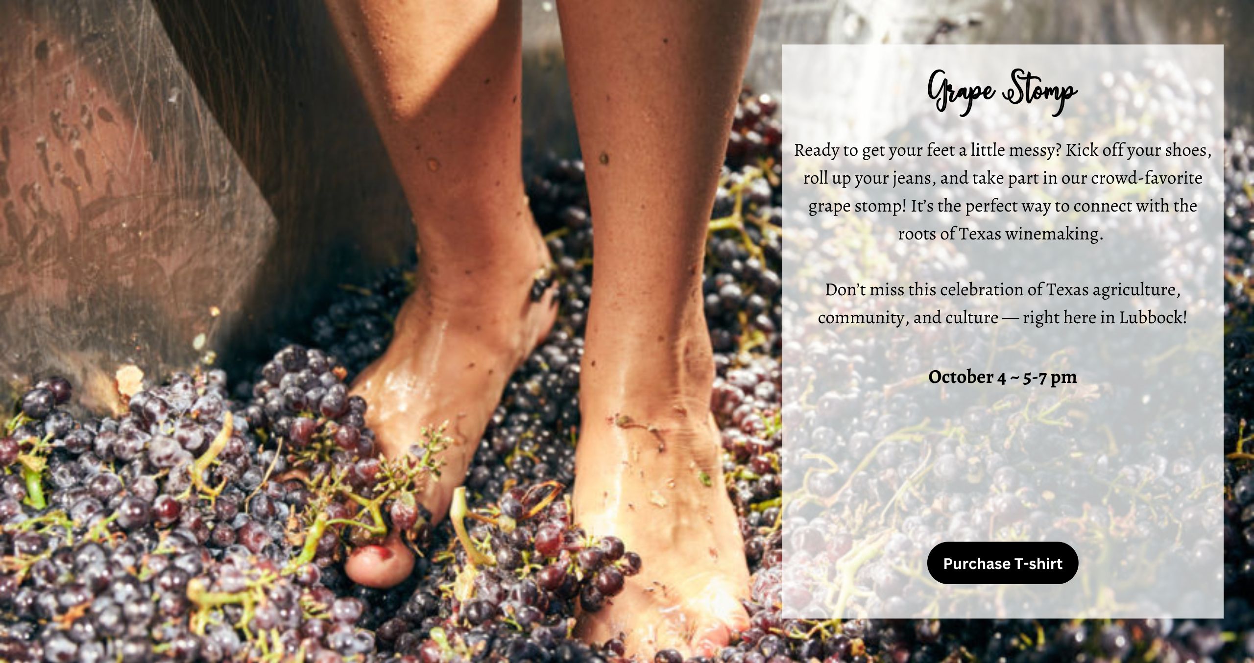 Ready to get your feet a little messy? Kick off your shoes, roll up your jeans, and take part in our crowd-favorite grape stomp! It’s the perfect way to connect with the roots of Texas winemaking. Don’t miss this celebration of Texas agriculture, community, and culture — right here in Lubbock!